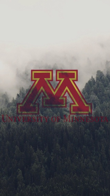 University of Minnesota Twin Cities /requested by @hawkey-7/