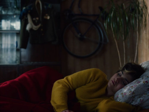 agnesvarda:“Хрусталь” (Crystal Swan),directed by Darya Zhuk, 2018.