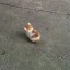 empty-body1