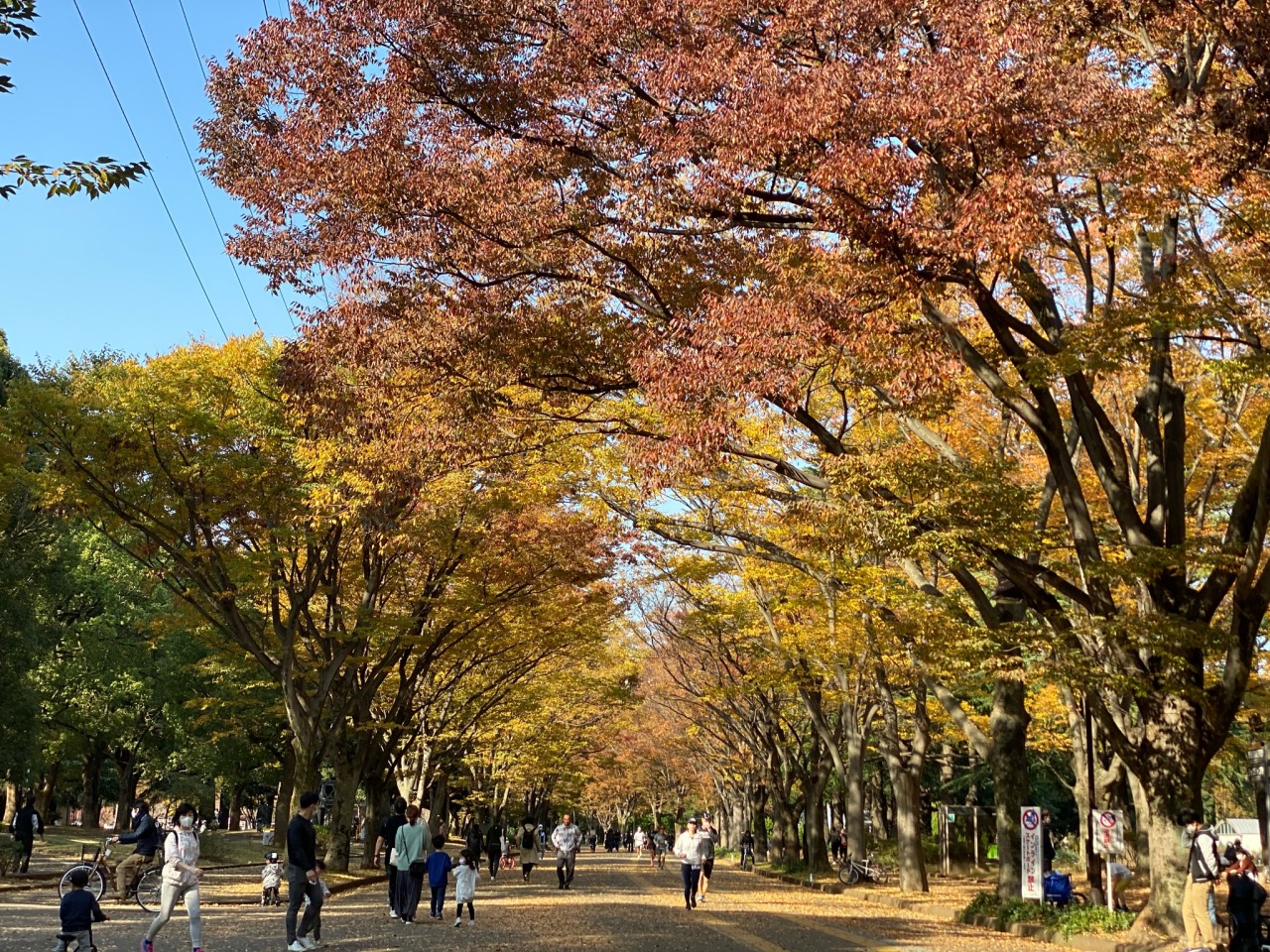 ライアーゲーム Tumblr Posts Tumbral Com ライアーゲーム Tumblr Posts Tumbral Com