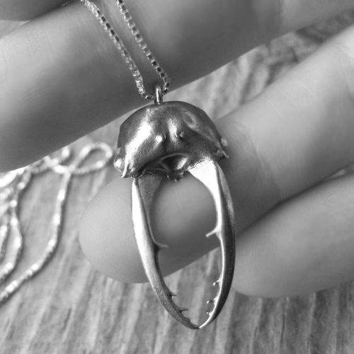 It’s spooky season #bugjewelry #insectjewelry #insectnecklace #stagbeetle #silverstagbeetle #beetlep