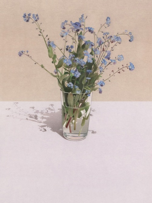 ‘Forget-me-nots’ - pastel on 100% cotton paper