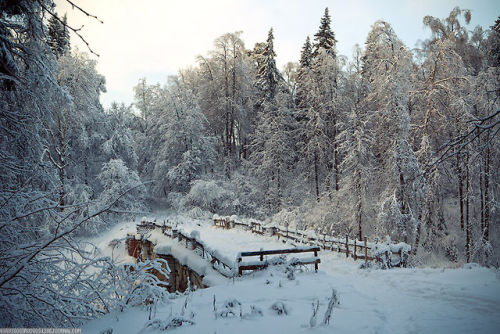 thebeautyofrussia:Garden in the Homesteads of Serednikovo, Moscow Oblast, Russia by “Russos&rd