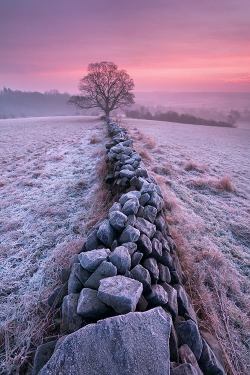 rosiesdreams:A winter morning .. By Tristan Campbell 