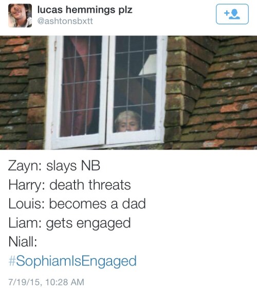 yslhoe: UM