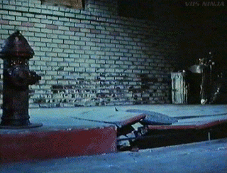 vhs-ninja:Alligator (1980).
