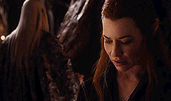  desolation of smaug + elves     