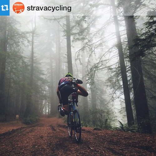 estrangedadventurer: The best riding isn’t always on bitumen… #Repost @stravacycling