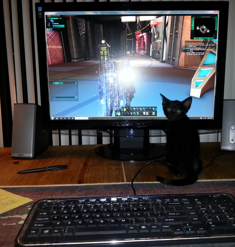 Day 327/365: Birth of a Gamer. MMO kitty likes MMOs.
Photo/caption by ©daily jcm