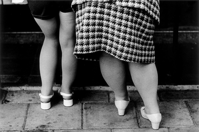  Legs; smoliansky 1971 &amp; 1974 