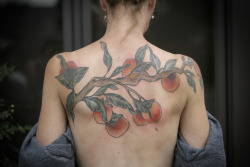 wonderlandtattoospdx:  kirstenmakestattoos:  Double coverup on Corby of persimmons, started what feels like forever ago and finally completed. It’s been nothing but a pleasure. I LOVE TATTOOING FRUIT. I also love tattooing Corby. Thanks, lady!  Kirsten