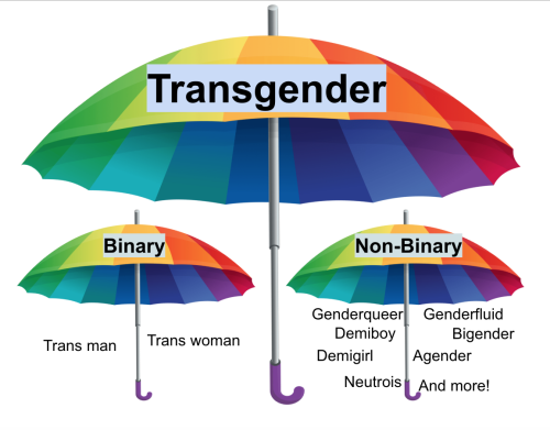 transgenderteensurvivalguide: Lee says: The word “transgender” is an umbrella term that covers anyone who identifies as a gender they were not assigned at birth.  Both binary people and non-binary people are equally transgender.  Being trans without