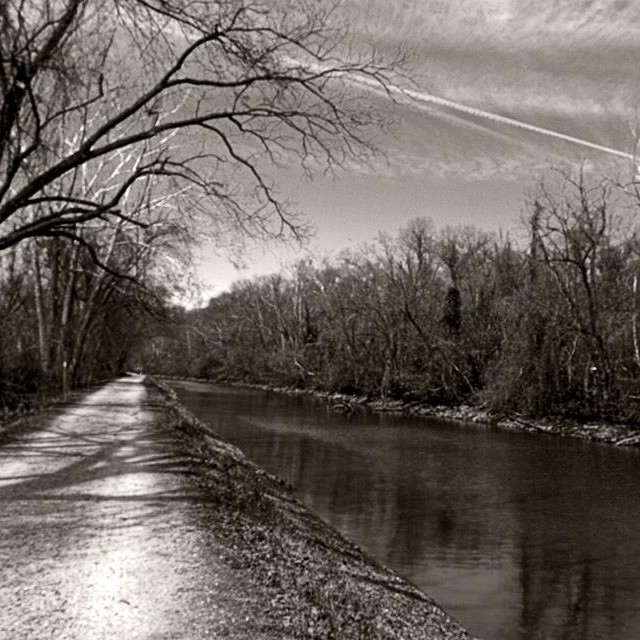 C&O Canal in Washington DC. #blackandwhite #landscape #nature #trailrunning (at C&O Canal - Widewater)