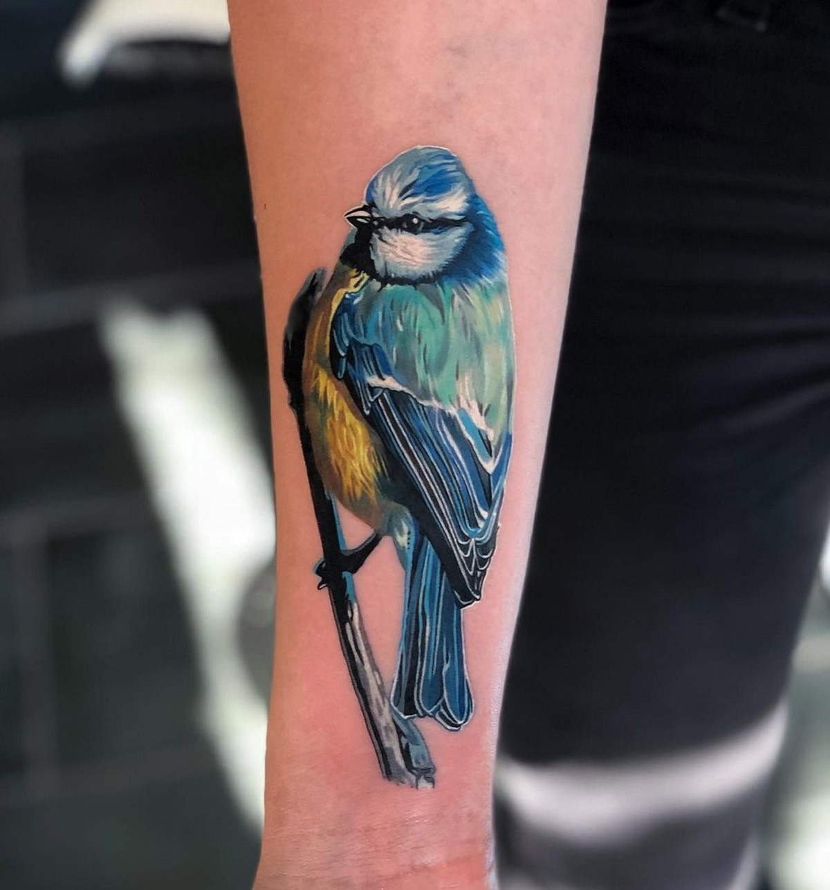 Neotraditional bluejay tattoo superchangotattoostudio  Simple arm tattoos  Tattoos Tattoos with meaning