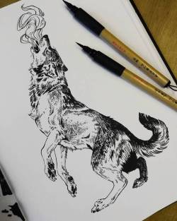 akreon:#sketchbook #sketch #wolf #howling #wilk #ink #inktober2017 #brushpen