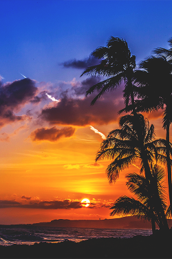 wearevanity:  Jet stream in paradise © 