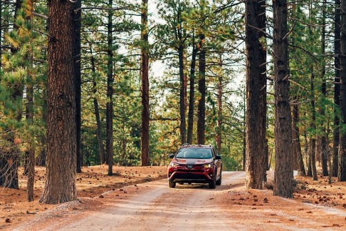 Drove through some back roads to find the campsite. We put the RAV4 Adventure Grade to the test and 