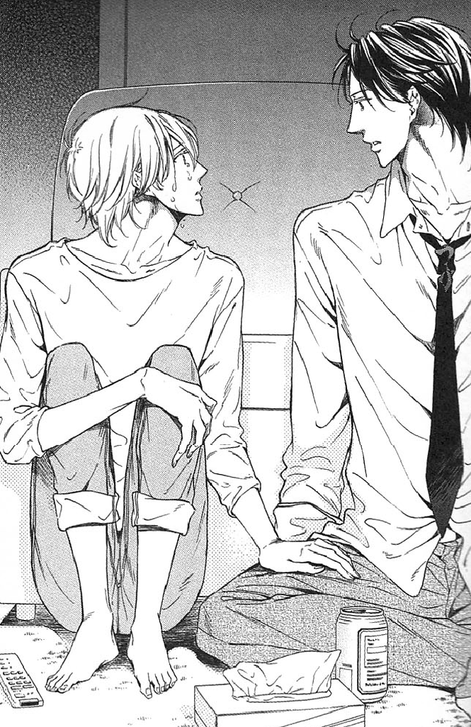 Fujoshi, Fangirl and Author: