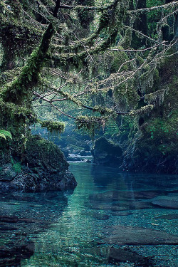 atraversso:  Little Amazonia  by YANK 