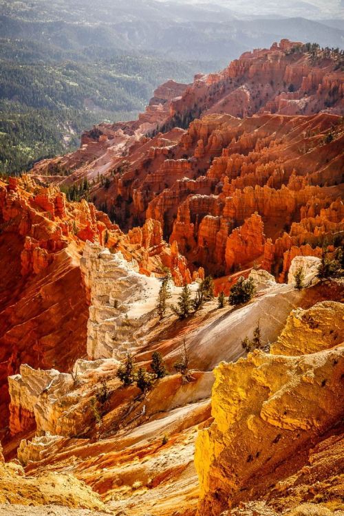 dreamtravelspots: Cedar Breaks - National Monument - Utah, USA