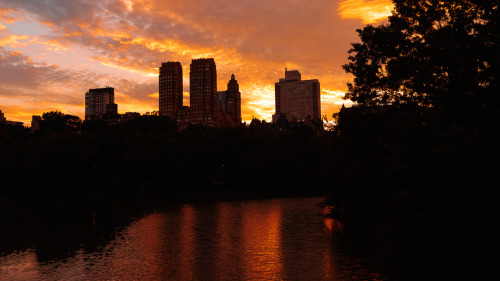 Sunset at Central Park, New York City (source, ig ; @DemiGodxTonio)