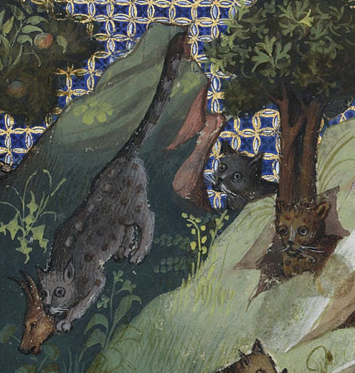 discardingimages:wild catsGaston Phébus, Livre de la chasse, Paris 15th centuryBnF, Français 616, fo