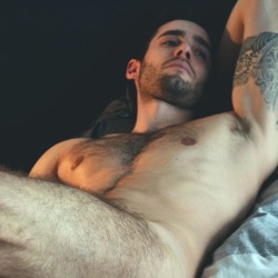 hairy-chests:  handsome                 