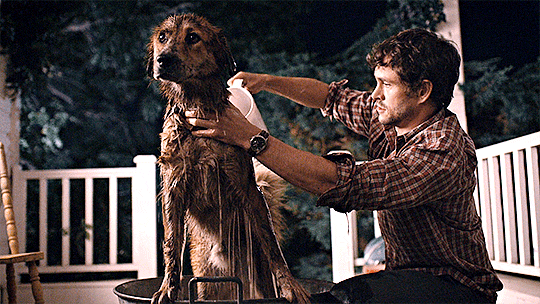 existingcharactersdiehorribly: The Dog stands patiently in a tub as Will massages a SOAPY LATHER thr