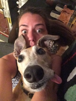 daily-funnyanimals:  The derp is strong with