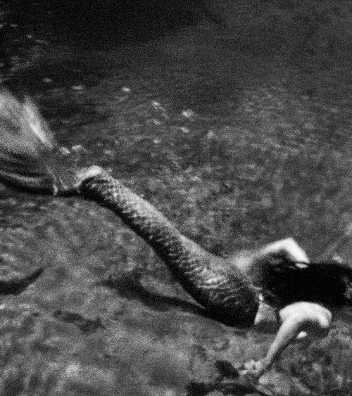 wessygibbins-deactivated2015060:Mythological Creatures - Mermaids