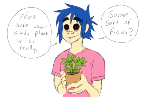 I was talkin to a friend over at paleimitatorz about the little cannabis plant on the kitchen table 