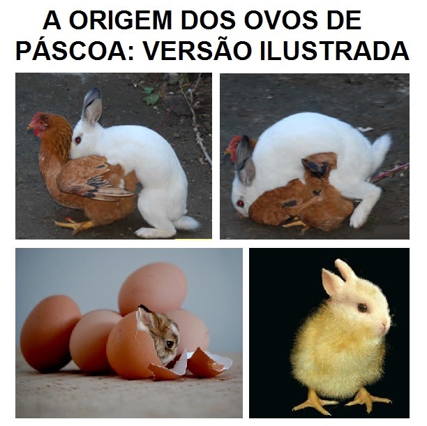 Os melhores e mais engraçados ovos de Páscoa do Discord - Jugo