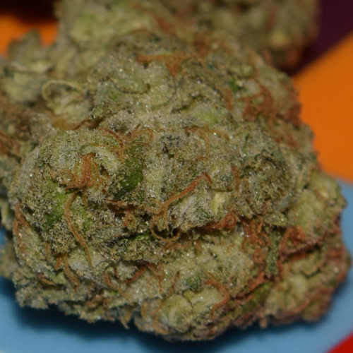 doritosandkilos710:  Picked up some white rhino, really dense and really smelly nugs. Can’t wait to roll it up into a joint and smoke it. (also, I think I should get a better macro lens)  My fav!