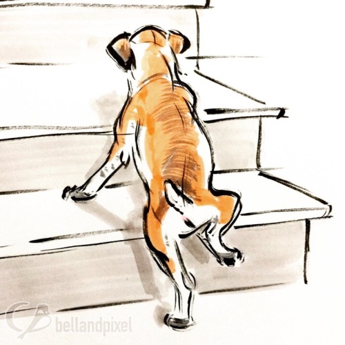 You don&rsquo;t have to see the top of the staircase to take the first step. ~Martin Luther King