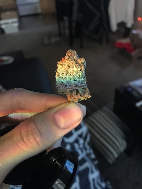 No filter. Just perfect lighting.
