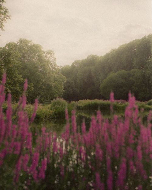 By Lenswatching