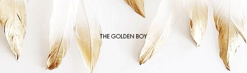 lizkah:  Fake AH Crew Aesthetic: Gavin Free; The Golden Boy“Well that was a shit idea.”