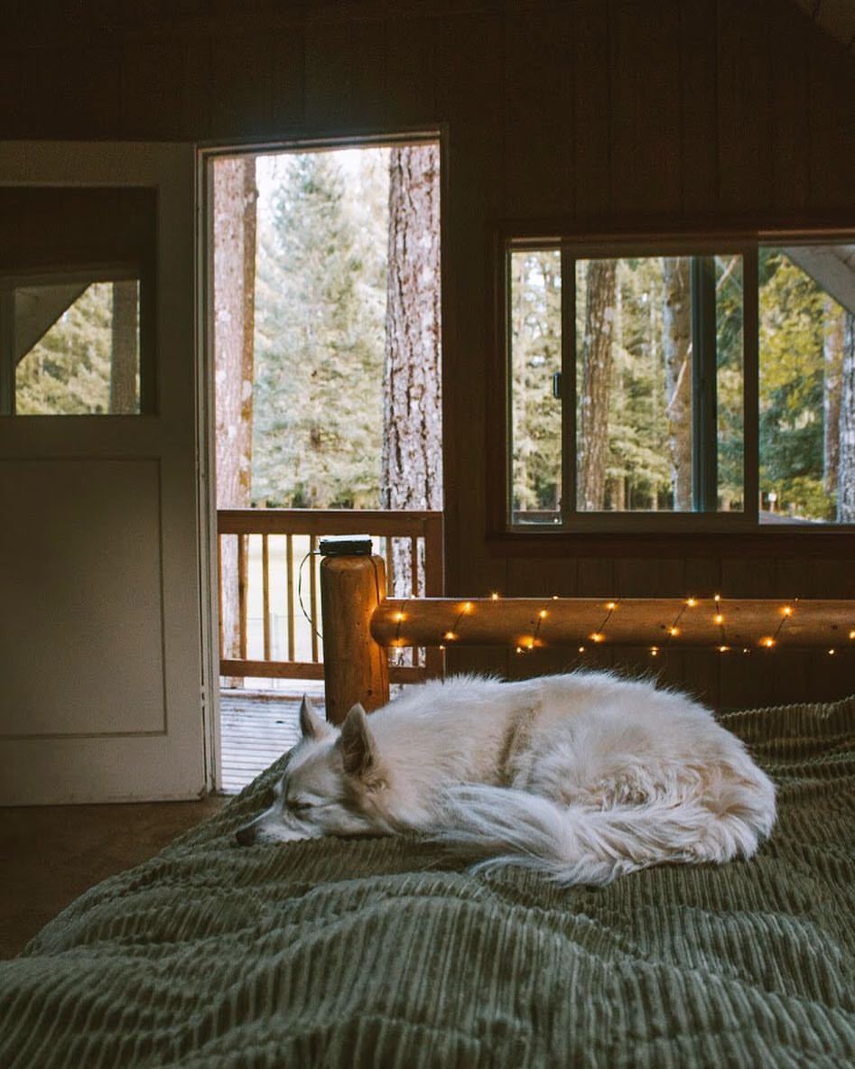 kayseeray:Sleepy mornings 💤 ✨💚#kyahtheeskie