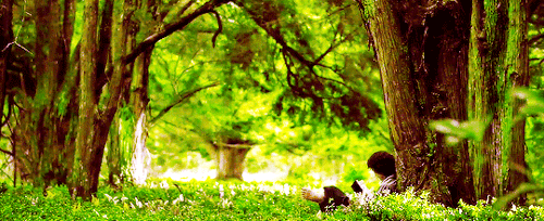 thorinds:“The road goes ever on and on down from the door where it began. Now far ahead the road has