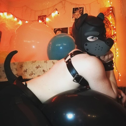 This 3 foot black Qualatex balloon is so bouncy!