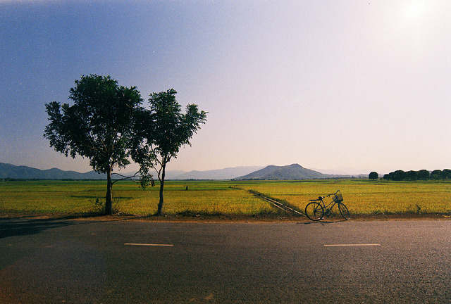 03/2014 on Flickr.
Via Flickr:
• Camera: Nikon FM
• Film: Fuji ProPlus 200
• Blog | Tumblr