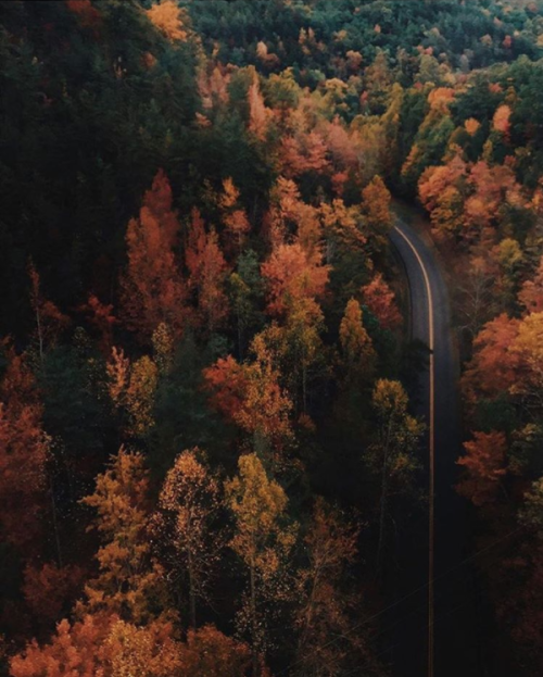nubbsgalore:rivers and roads. rivers and roads. rivers till i reach you. (x, x, x, x, x, x, x, x, x, x)