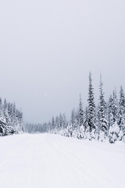 decepticun:  Mccall, Idaho | by Nathan