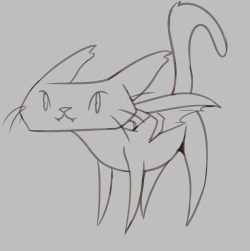 cat dragon!