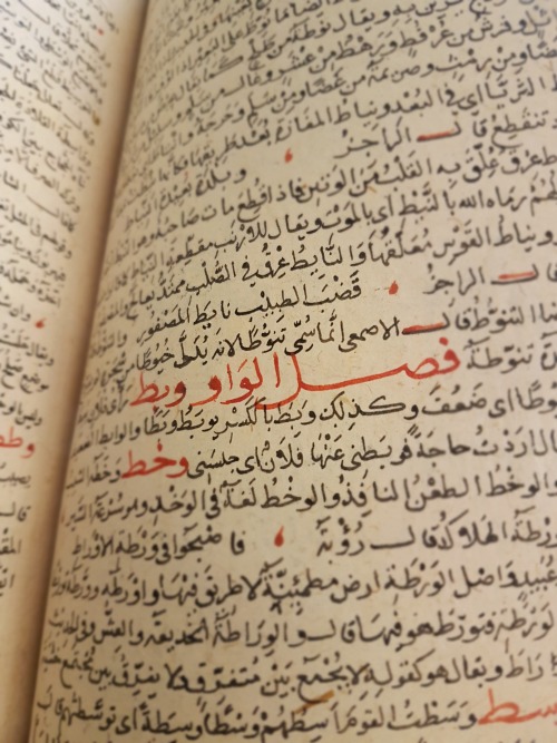LJS 394 - al-Thānī min al-ṣiḥāḥWritten in Egypt or Syria in the 14th century, this manuscript 
