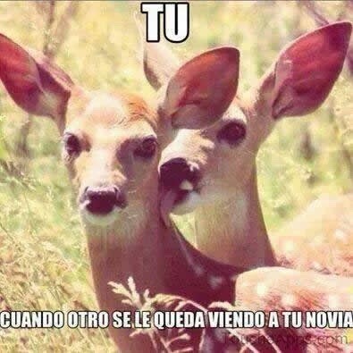 El Tumblr D Chechi