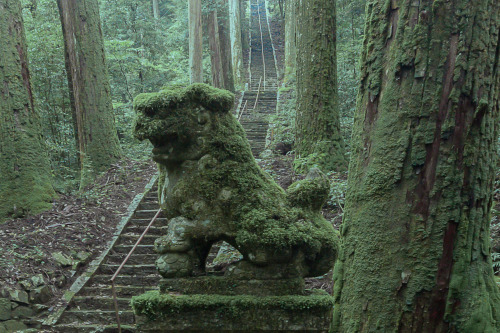 thekimonogallery:Mossy shrine in Gifu, Japan. Photography by みわ miwa@odekakephoto7