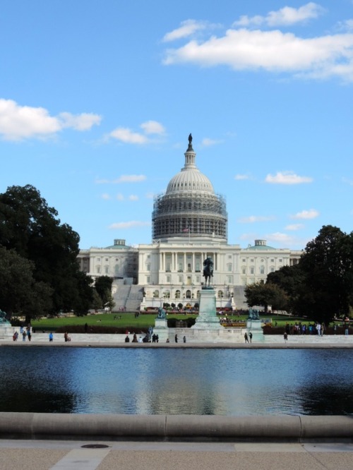 West Façade of the US Capitol (With Repair Scaffolding) From the Reflecting Pool, Washington, DC, 20