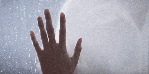 forget-me-not-962