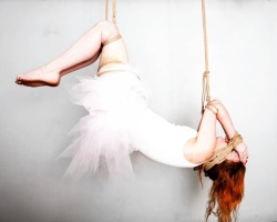 mastermhatter:@fizzydrinkslut  my fallen ballerina #shibari #kinbaku #mmhjute #tiedgirl #ageplay